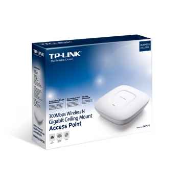 300Mbps Wireless N Gigabit Access Point